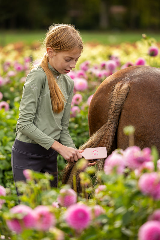 CYH Mane & Tail brush pink